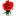 0700-rose1111.de