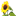 vom-sonnenblumenhof.de