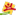 vtf-aktivprogramm.de