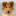 wallstreetcollies.de