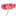 wandbild.de