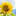 waystohappiness.de