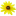 weigeltsamen.de