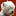 westieparadies.de