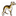 whipcat-whippets.de