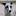 whippets-high-on-emotion.de