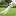 whitedreambreakerofheart.de