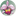 wichmann-orchideen.de