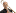 wiegraebe.de