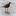 wildemotive.de