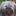 wilmas-wunder.de