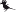 wingthing.de