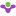 winmental.de