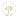 winschewski.de
