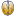 wiwes.de