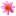 wo-blumenbilder-wachsen.de