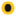 woku.de