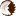 woodexpert.ro
