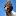 woodytrack-lagotto.de