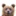 woomeraofficial.de