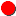 wraptor24.de