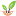 wundheilsalbe.de