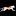 wus-media.de
