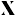 x-pose-gmbh.de