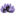 yogaraumwipp.de
