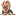 yorkies-online.de