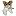 yorkshire-terrier-vogtland.de
