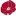 zahnarztpraxis-speil.de