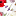 zappatos.ro