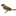 zaunspatz24.de