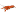 zwergkrebse-cambarellus.de